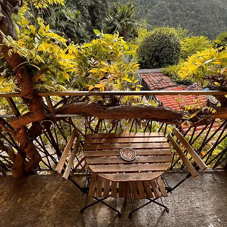 住宿加早餐酒店 Romantico Palazzo Dei Ulivi